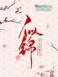 似锦免费观看全集完整版